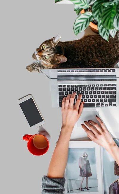 Комплексное продвижение вашего бизнеса в online